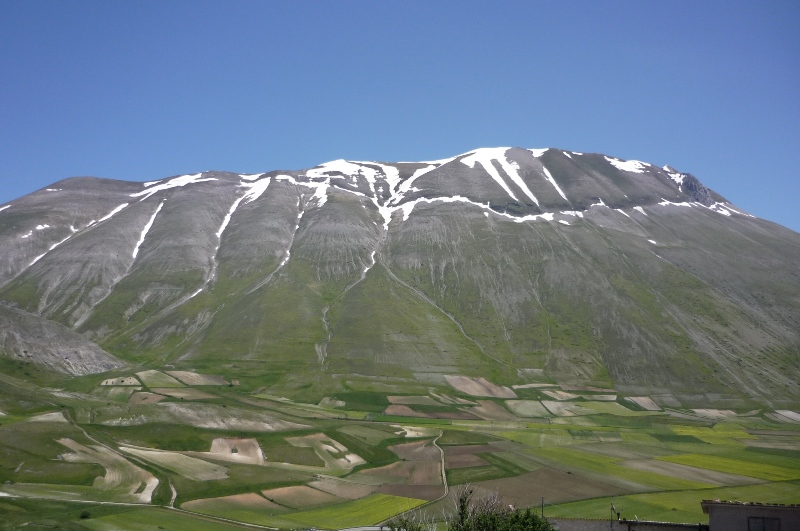 Castelluccio e le sue Helix ligata - H. delpretiana